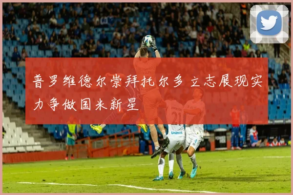 普罗维德尔崇拜托尔多立志展现实力争做国米新星