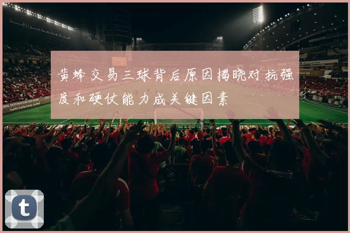 黄蜂交易三球背后原因揭晓对抗强度和硬仗能力成关键因素