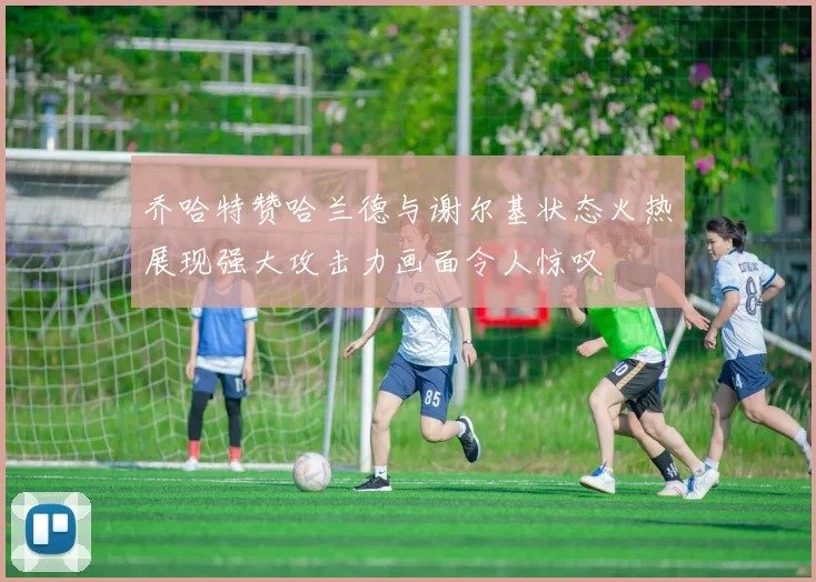 乔哈特赞哈兰德与谢尔基状态火热展现强大攻击力画面令人惊叹