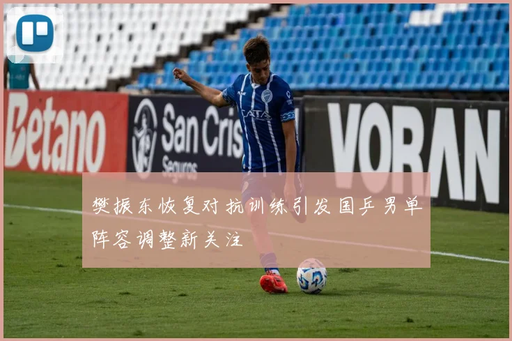 樊振东恢复对抗训练引发国乒男单阵容调整新关注